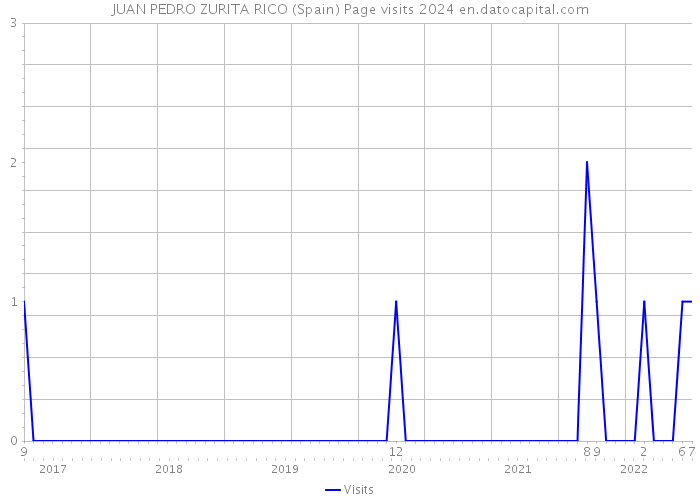 JUAN PEDRO ZURITA RICO (Spain) Page visits 2024 