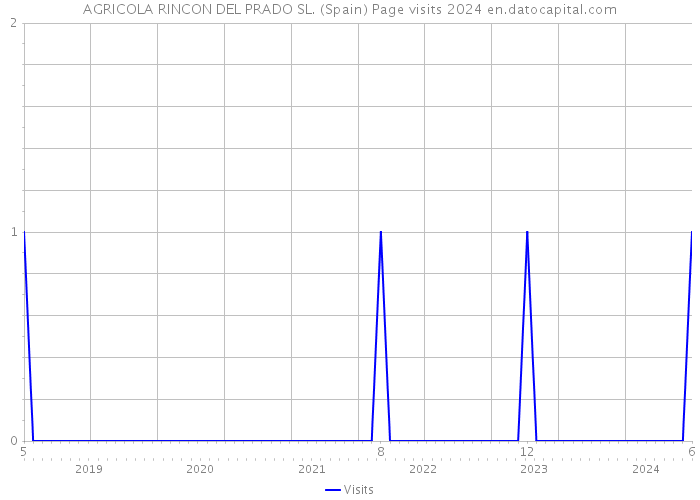 AGRICOLA RINCON DEL PRADO SL. (Spain) Page visits 2024 