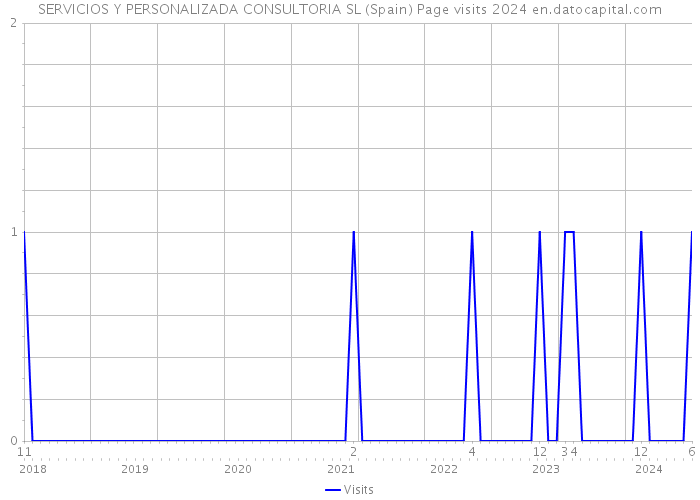 SERVICIOS Y PERSONALIZADA CONSULTORIA SL (Spain) Page visits 2024 