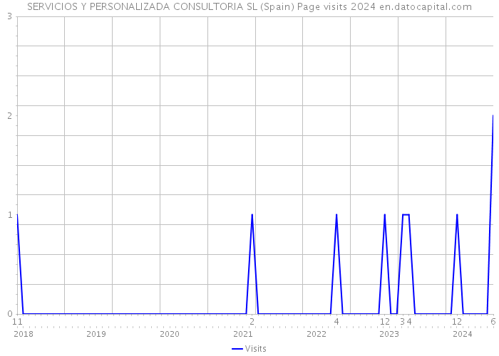 SERVICIOS Y PERSONALIZADA CONSULTORIA SL (Spain) Page visits 2024 