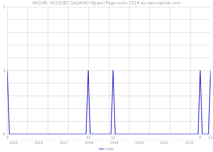 MIGUEL VÁZQUEZ GALIANO (Spain) Page visits 2024 