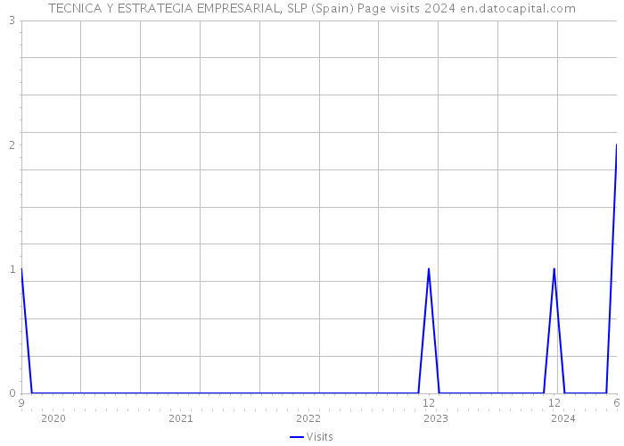 TECNICA Y ESTRATEGIA EMPRESARIAL, SLP (Spain) Page visits 2024 