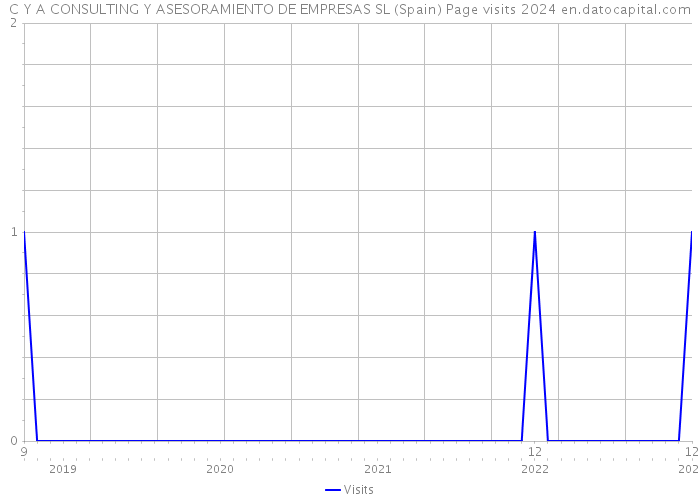 C Y A CONSULTING Y ASESORAMIENTO DE EMPRESAS SL (Spain) Page visits 2024 