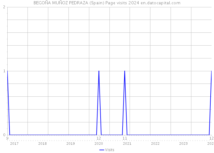 BEGOÑA MUÑOZ PEDRAZA (Spain) Page visits 2024 