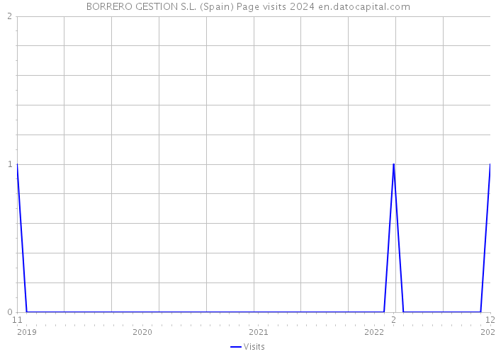 BORRERO GESTION S.L. (Spain) Page visits 2024 