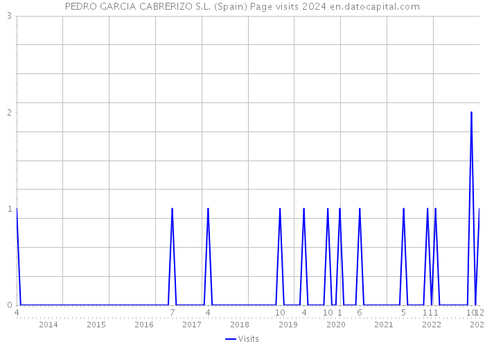 PEDRO GARCIA CABRERIZO S.L. (Spain) Page visits 2024 