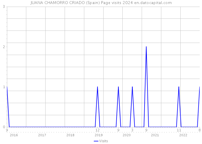 JUANA CHAMORRO CRIADO (Spain) Page visits 2024 