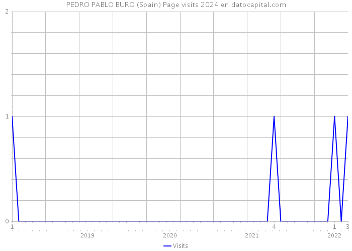PEDRO PABLO BURO (Spain) Page visits 2024 