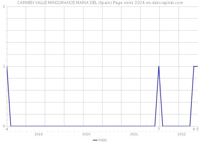 CARMEN VALLE MINGORANCE MARIA DEL (Spain) Page visits 2024 