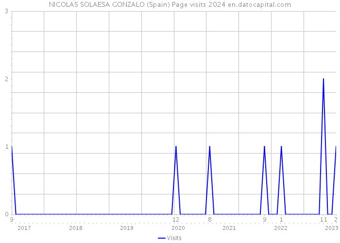 NICOLAS SOLAESA GONZALO (Spain) Page visits 2024 