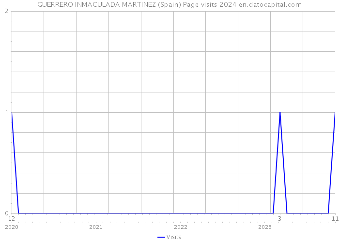 GUERRERO INMACULADA MARTINEZ (Spain) Page visits 2024 