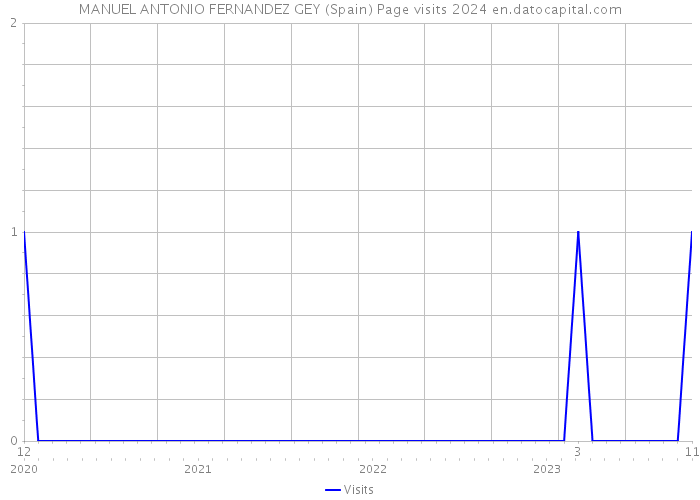 MANUEL ANTONIO FERNANDEZ GEY (Spain) Page visits 2024 