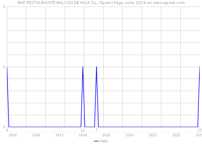 BAR RESTAURANTE BALCON DE HIGA S.L. (Spain) Page visits 2024 