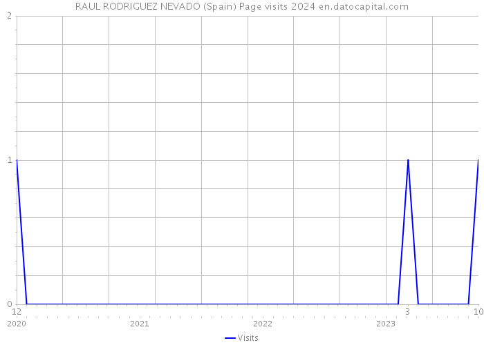RAUL RODRIGUEZ NEVADO (Spain) Page visits 2024 