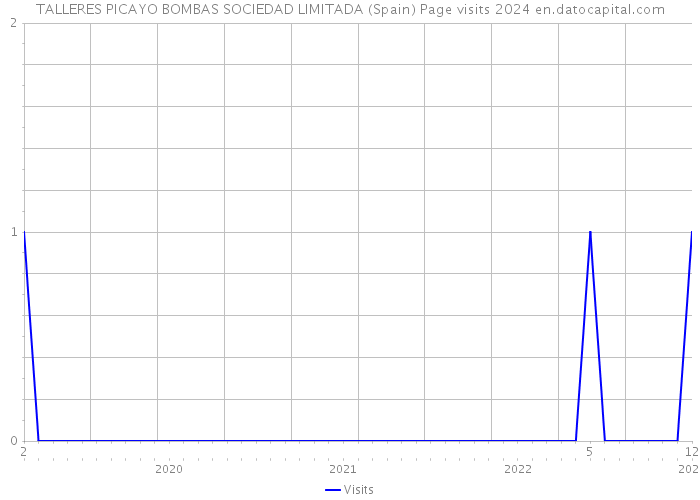 TALLERES PICAYO BOMBAS SOCIEDAD LIMITADA (Spain) Page visits 2024 