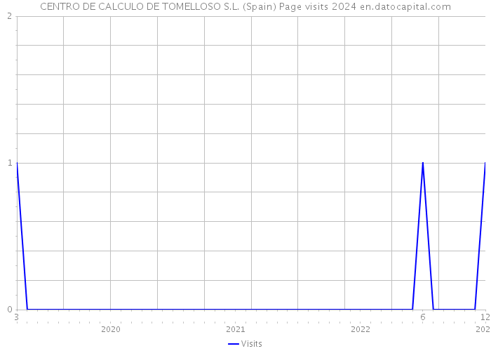 CENTRO DE CALCULO DE TOMELLOSO S.L. (Spain) Page visits 2024 