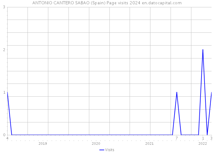 ANTONIO CANTERO SABAO (Spain) Page visits 2024 