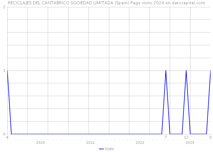 RECICLAJES DEL CANTABRICO SOCIEDAD LIMITADA (Spain) Page visits 2024 