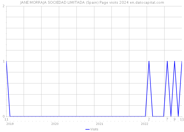 JANE MORRAJA SOCIEDAD LIMITADA (Spain) Page visits 2024 