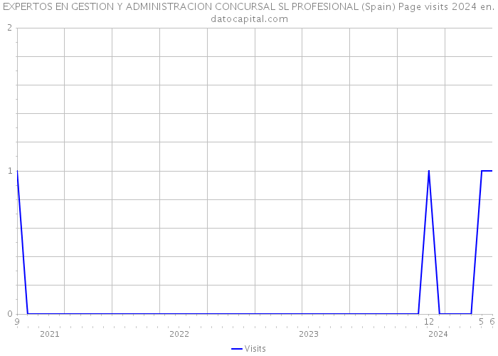 EXPERTOS EN GESTION Y ADMINISTRACION CONCURSAL SL PROFESIONAL (Spain) Page visits 2024 