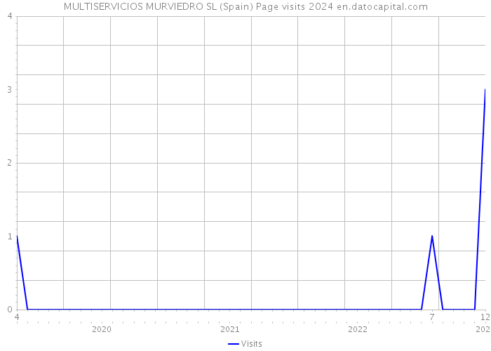 MULTISERVICIOS MURVIEDRO SL (Spain) Page visits 2024 