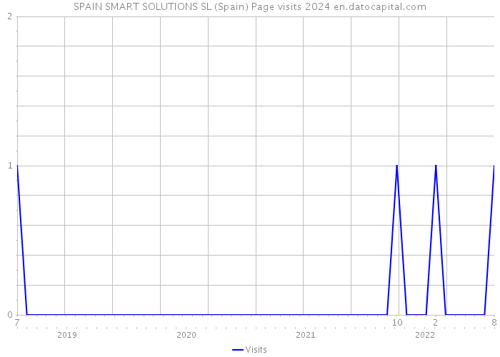 SPAIN SMART SOLUTIONS SL (Spain) Page visits 2024 