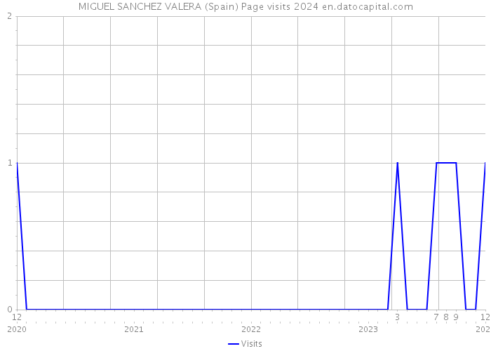 MIGUEL SANCHEZ VALERA (Spain) Page visits 2024 