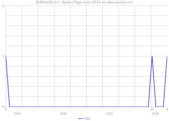 BURGALES S.C. (Spain) Page visits 2024 