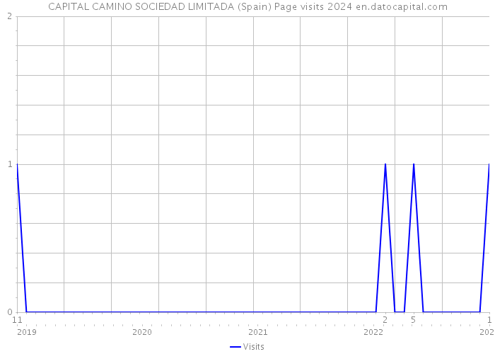 CAPITAL CAMINO SOCIEDAD LIMITADA (Spain) Page visits 2024 