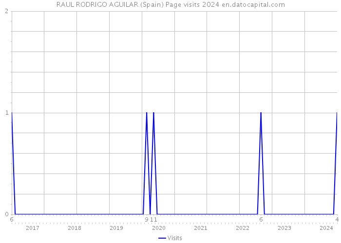 RAUL RODRIGO AGUILAR (Spain) Page visits 2024 