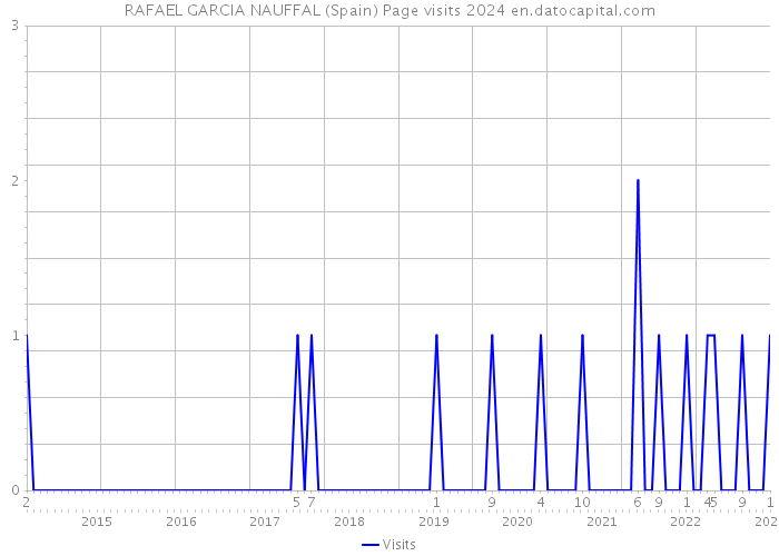RAFAEL GARCIA NAUFFAL (Spain) Page visits 2024 