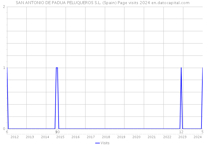 SAN ANTONIO DE PADUA PELUQUEROS S.L. (Spain) Page visits 2024 