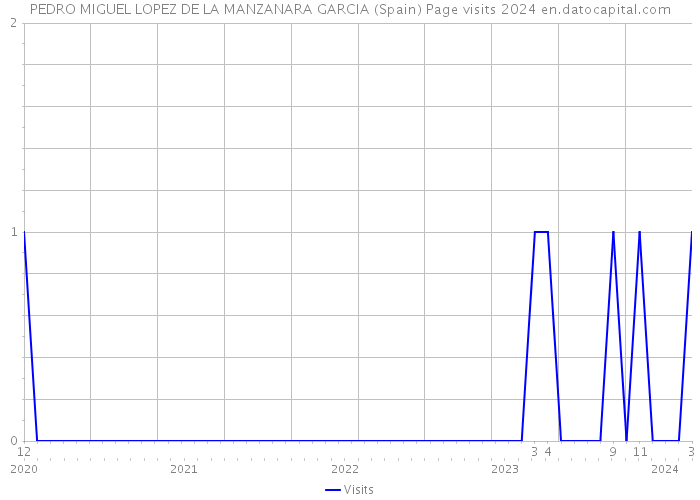 PEDRO MIGUEL LOPEZ DE LA MANZANARA GARCIA (Spain) Page visits 2024 
