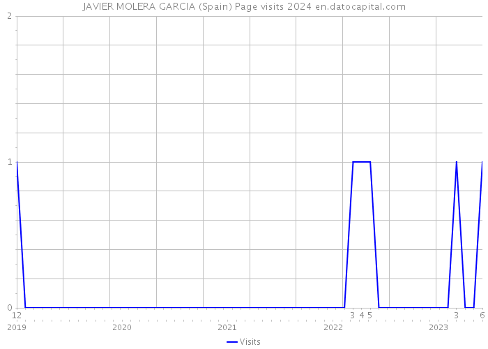 JAVIER MOLERA GARCIA (Spain) Page visits 2024 