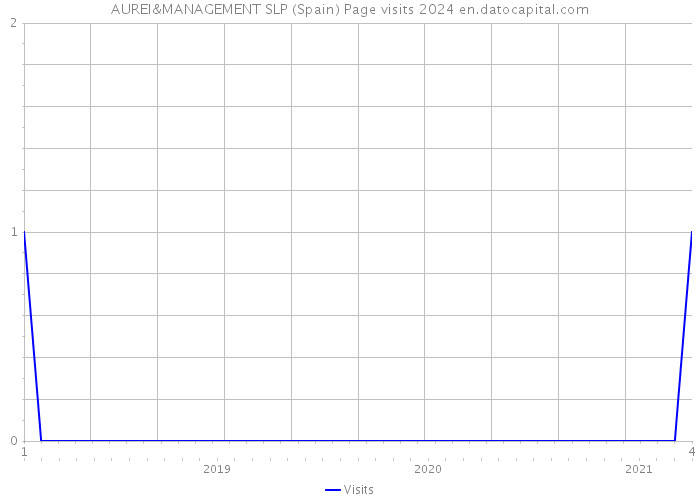 AUREI&MANAGEMENT SLP (Spain) Page visits 2024 