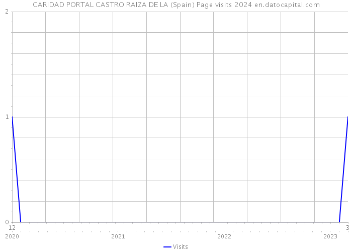 CARIDAD PORTAL CASTRO RAIZA DE LA (Spain) Page visits 2024 