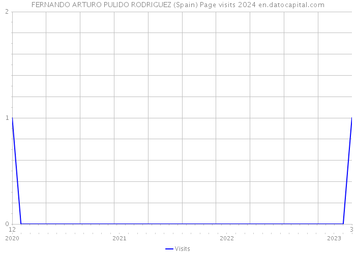 FERNANDO ARTURO PULIDO RODRIGUEZ (Spain) Page visits 2024 