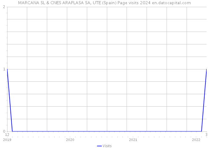 MARCANA SL & CNES ARAPLASA SA, UTE (Spain) Page visits 2024 