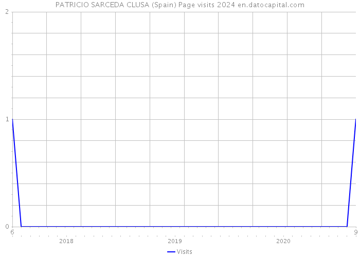 PATRICIO SARCEDA CLUSA (Spain) Page visits 2024 