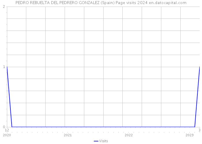 PEDRO REBUELTA DEL PEDRERO GONZALEZ (Spain) Page visits 2024 