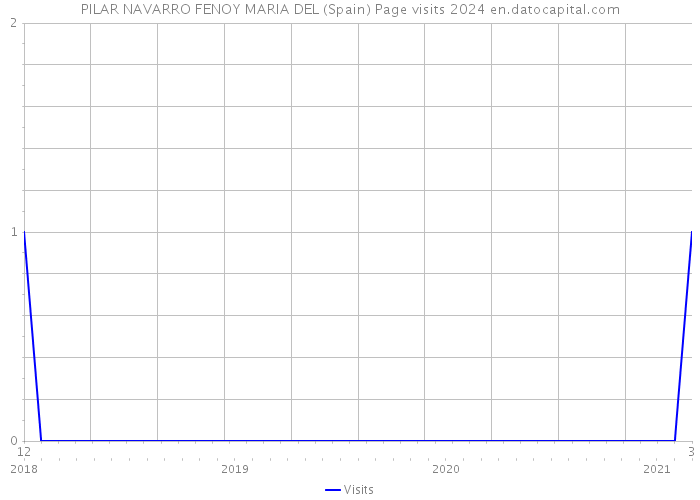 PILAR NAVARRO FENOY MARIA DEL (Spain) Page visits 2024 