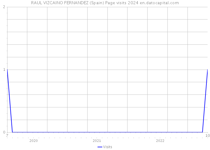 RAUL VIZCAINO FERNANDEZ (Spain) Page visits 2024 