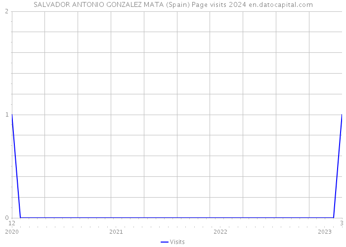SALVADOR ANTONIO GONZALEZ MATA (Spain) Page visits 2024 
