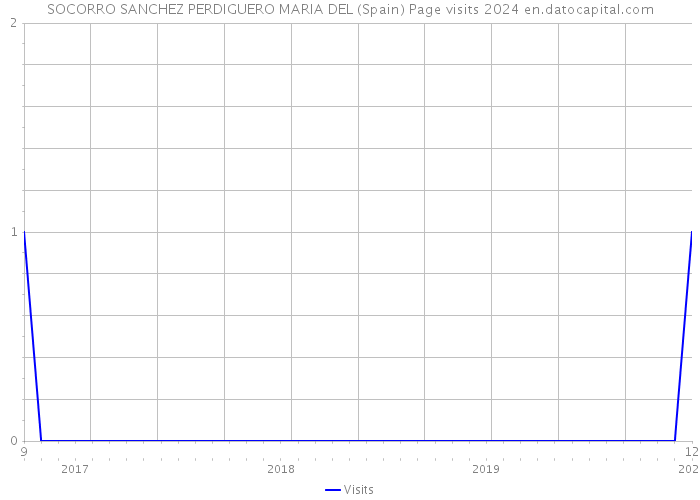 SOCORRO SANCHEZ PERDIGUERO MARIA DEL (Spain) Page visits 2024 