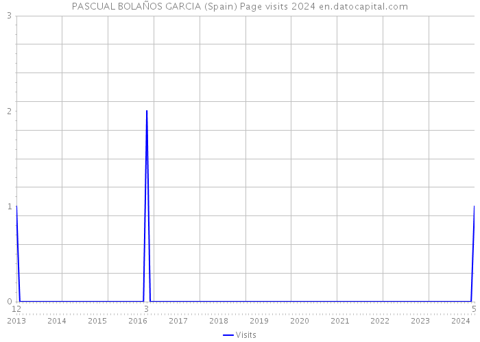 PASCUAL BOLAÑOS GARCIA (Spain) Page visits 2024 