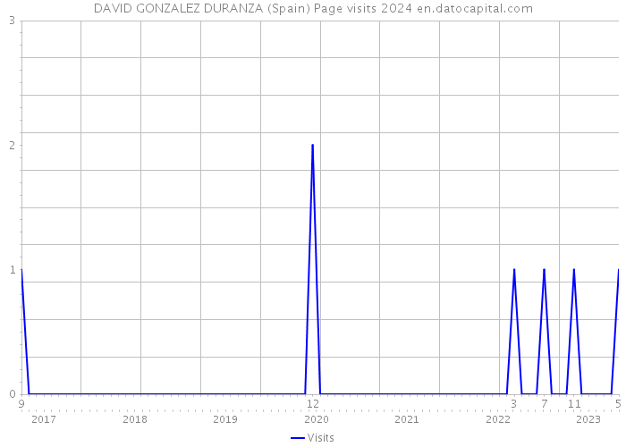 DAVID GONZALEZ DURANZA (Spain) Page visits 2024 