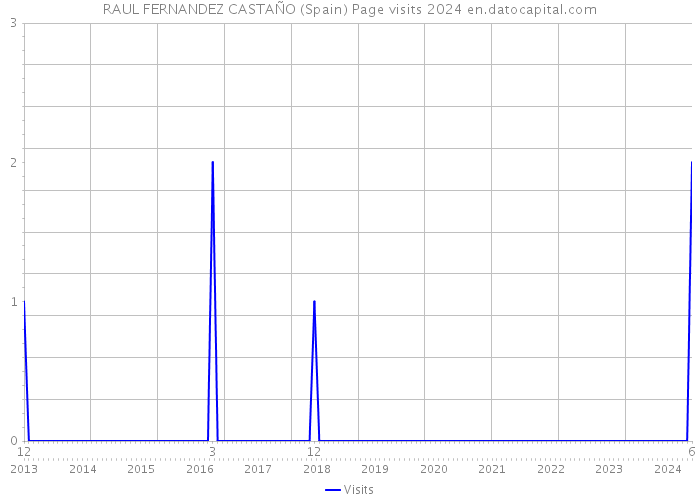 RAUL FERNANDEZ CASTAÑO (Spain) Page visits 2024 