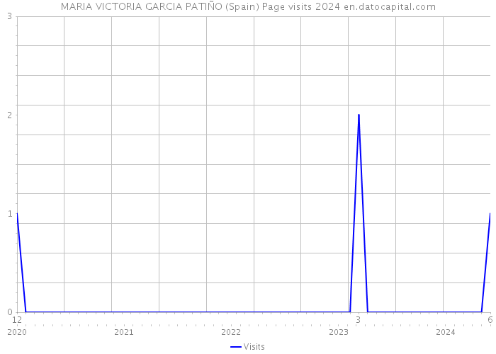 MARIA VICTORIA GARCIA PATIÑO (Spain) Page visits 2024 