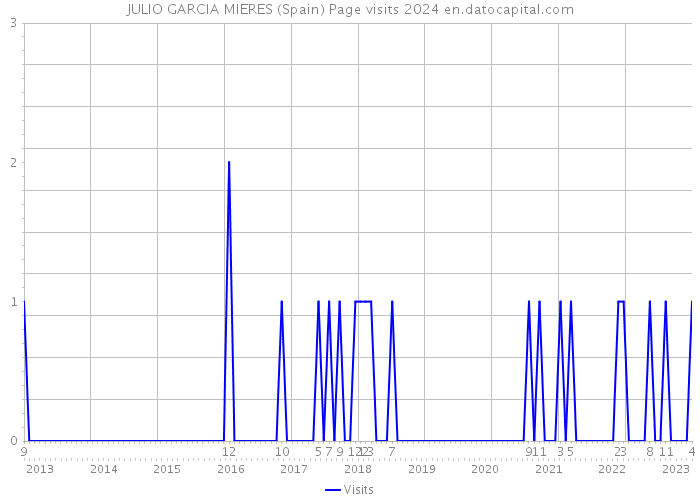JULIO GARCIA MIERES (Spain) Page visits 2024 