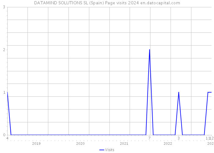 DATAMIND SOLUTIONS SL (Spain) Page visits 2024 